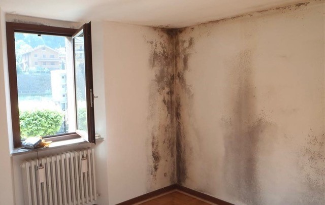 Termosifoni e umidità in casa: rischio muffa